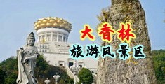 黄片视频插逼中国浙江-绍兴大香林旅游风景区